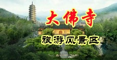 美女的逼所有网站中国浙江-新昌大佛寺旅游风景区